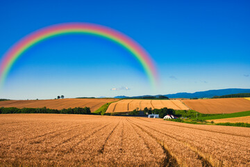 丘の町・美瑛の美しい田園風景