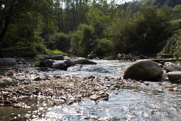 Small mountain river flowing down through rocks and trees under the bright sunlight