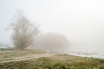 Panoramic shot of a pond covered with thick fog