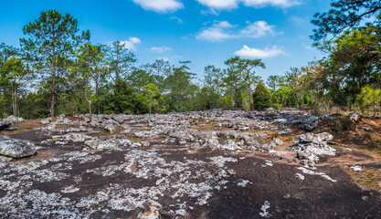 Pathway to the waterfall on Phu Kradueng Forest Thailand 001