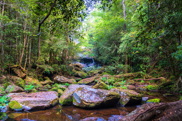 Calm stream flowing on the top of Phu Kradueng, Thailand 002