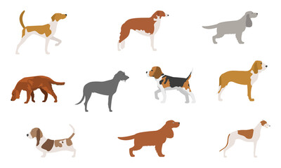 set of dogs