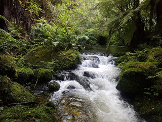 Cascading creek