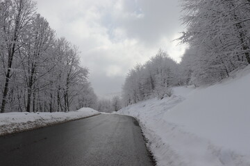 Obraz premium Snow scene at Kartepe Mountain, Izmit, Turkey