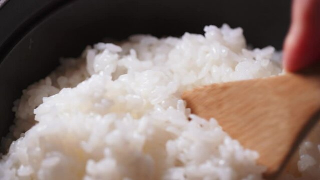 ご飯