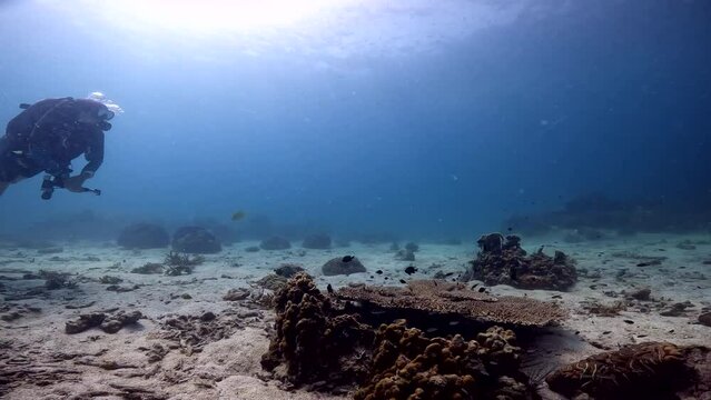 Sail rock island under water film of ocean floor and corals with rocks and sand - Thailand