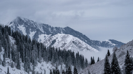 Snow-white mountains in the fog