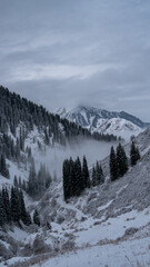Fototapeta na wymiar Snow-white mountains in the fog
