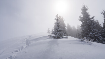 Fototapeta na wymiar Deep snow trail in misty mountains