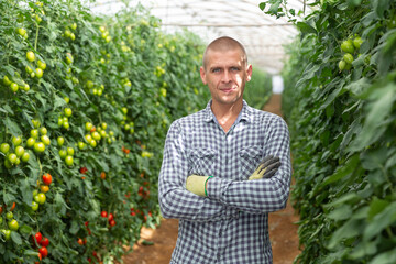 European man standing inside big tomato orchard and smiling