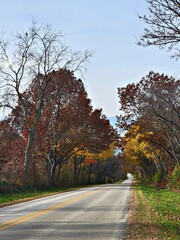 Obraz premium autumn in the park