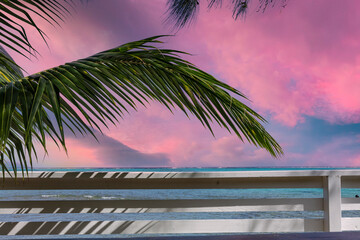 Coucher de soleil rose sur le lagon et palmier
