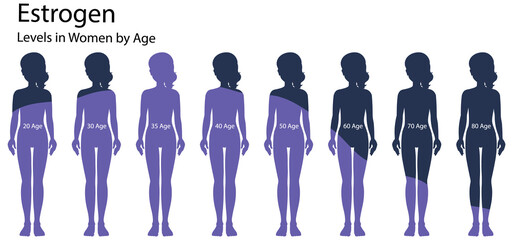 Estrogen levels in women by age - obrazy, fototapety, plakaty