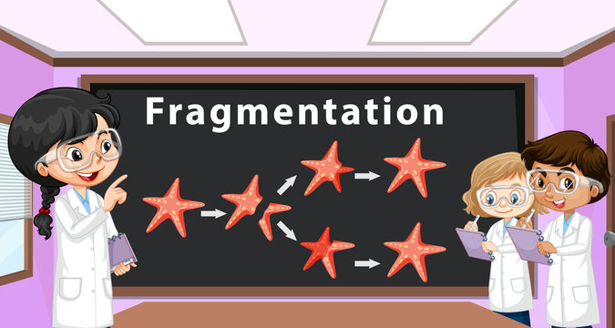 Asexual Reproduction Fragmentation With Starfish