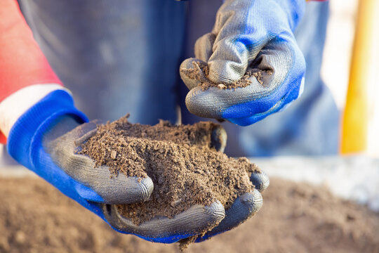 Close-up of a person's hands checking the quality of potting soil