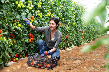 Asian woman working on a farm during sunny day