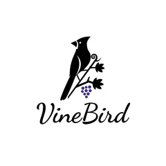 Logo design Illustration of a red-crested bird perching on a grapevine.