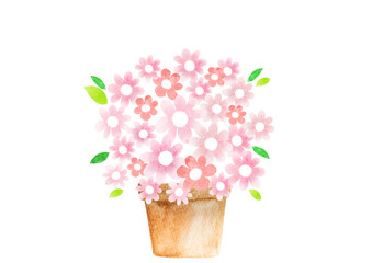 ピンク色の花鉢