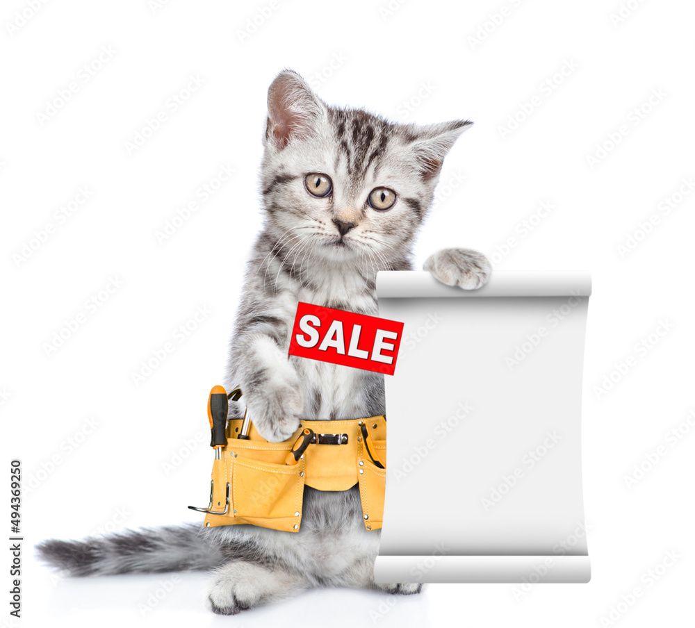 Poster funny cat worker wearing toolbelt shows sales symbol and empty list. isolated on white background