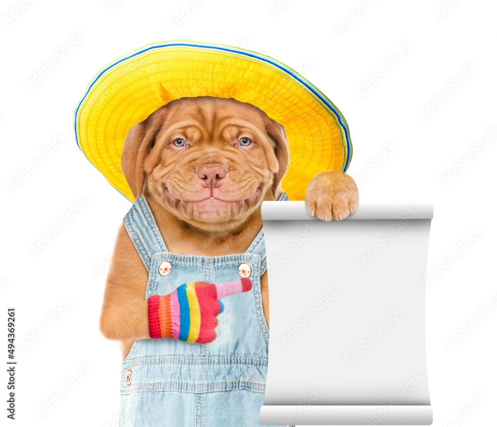 Poster Puppy wearing  hat and overalls points on empty list. Isolated on white background