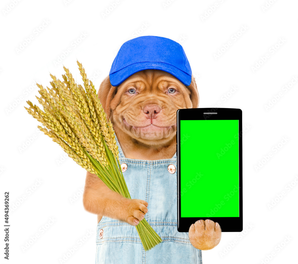 Poster smart farming. smiling farmer dog wearing overalls and blue cap using modern technologies in agricul