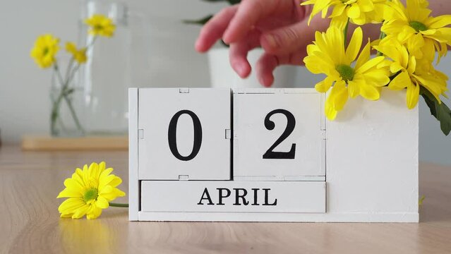 Spring month April 2. A woman's hand turns over a cubic calendar. White perpetual calendar on the table next to yellow flowers. Change the date in a month. day in the month. number