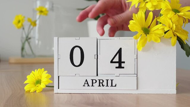 Spring month April 4. A woman's hand turns over a cubic calendar. White perpetual calendar on the table next to yellow flowers. Change the date in a month. day in the month. internet day, webmasters