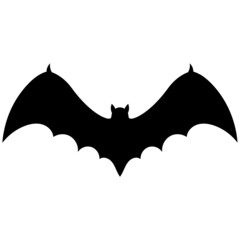 Halloween, spooky bat