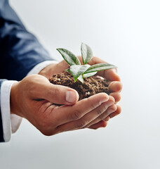 Helping business flourish. Closeup shot of a businessman in a suit holding a sprouting plant in soil in his cupped hands.