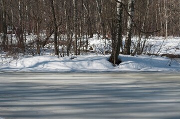 Obraz premium Early spring in a park