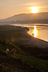 Fototapeta premium Sunrise over the Mekong River in Ubon Ratchathani Province, Thailand