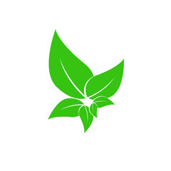 Modern green leaf icon template style, Green nature leaves design, logo, symbol, element, object, trademark, for growing of leaves vector, illustration