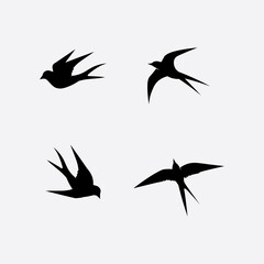 Birds and swallow dove logo design and vector animal wings and flying bird