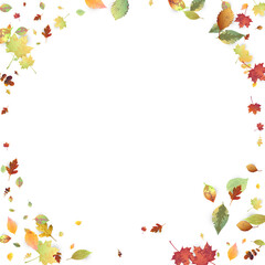 Leaves Falling Autumn Foliage Chaotic Leaf Flying