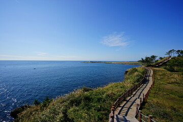 Fototapeta na wymiar fascinating seaside walkway against blue sea and sky