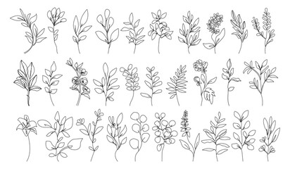 Line Drawing Flowers and Leaves Set Black Sketch Isolaned on White Background. Botanical Line Art of Wildflower Floral Drawing for Minimalist Wall Decor, Wall Art, Prints, Invitations. Vector EPS 10