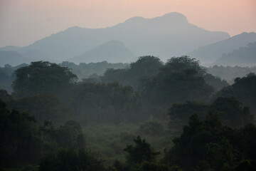 misty morning in the mountains