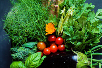 fresh vegetables on the dark background
