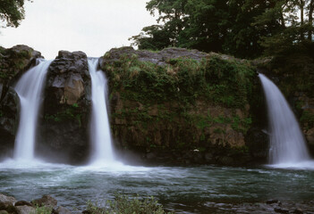 waterfall in the forest