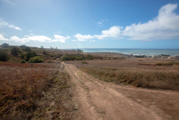 Fototapeta premium Bluff Trail at Fiscalini Ranch Preserve on the Rugged Central California coastline at Cambria California United States