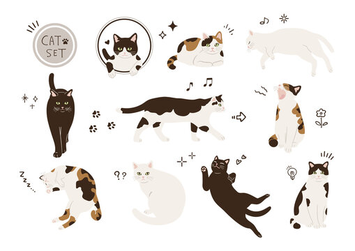 三毛ねこ の画像 34 754 件の Stock 写真 ベクターおよびビデオ Adobe Stock