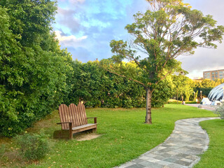 Bench on the meadow in the park