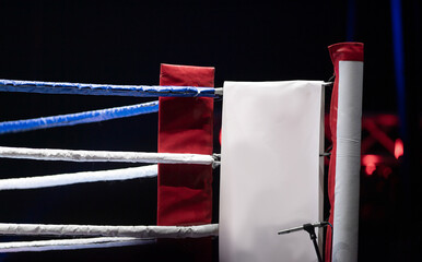 Boxing, muay thai and kickboxing ring ropes with a blur spotlight. Vertical sport theme poster,...