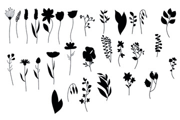 Botanical silhouette vector set, line art flowers on white background, minimalism floral collection