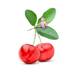 Acerola cherry isolated on white background