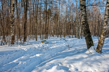 There is still a lot of snow in the city park in March
