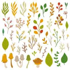 Foto op Canvas Branches and leaves, autumn decorative elements, vector illustrations set © qilli