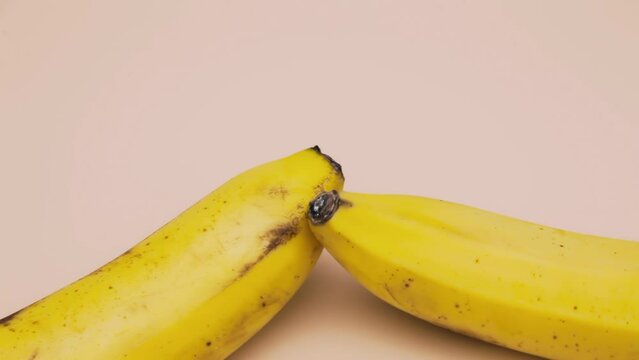 Representing gay sex using fruit: two bananas toiching each other's top (penises).
