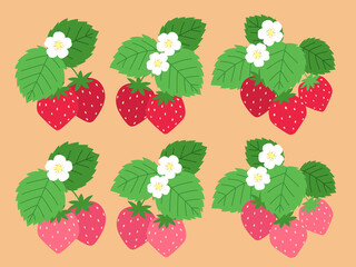 いちごのイラストセット(葉、花つき)