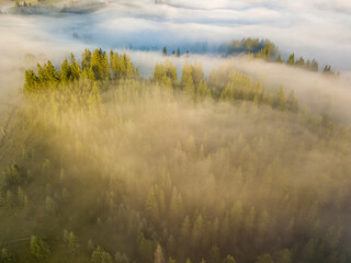 Naklejka na ściany i meble Fog envelops the mountain forest. The rays of the rising sun break through the fog. Aerial drone view.